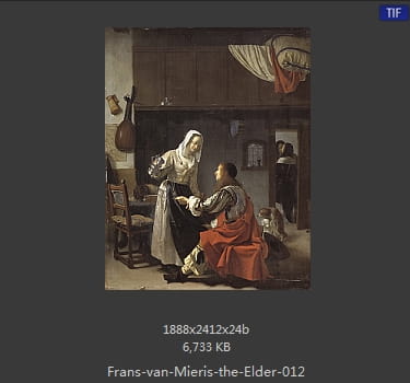 弗兰斯·范·米里斯 Frans van Mieris the Elder