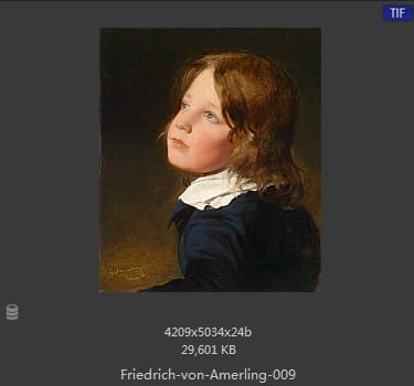 【奥地利】弗里德里希·冯·阿莫林（Friedrich von Amerling）