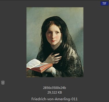 【奥地利】弗里德里希·冯·阿莫林（Friedrich von Amerling）