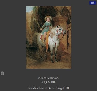 【奥地利】弗里德里希·冯·阿莫林（Friedrich von Amerling）