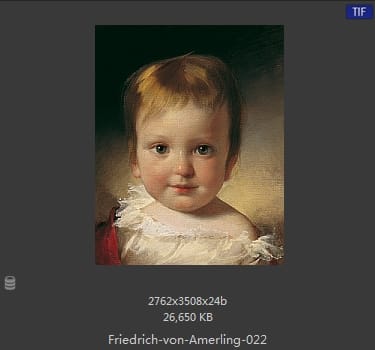【奥地利】弗里德里希·冯·阿莫林（Friedrich von Amerling）