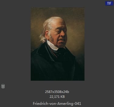 【奥地利】弗里德里希·冯·阿莫林（Friedrich von Amerling）