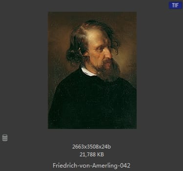 【奥地利】弗里德里希·冯·阿莫林（Friedrich von Amerling）