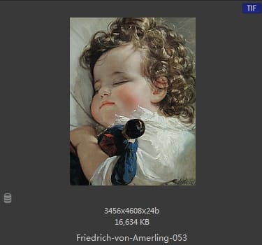 【奥地利】弗里德里希·冯·阿莫林（Friedrich von Amerling）