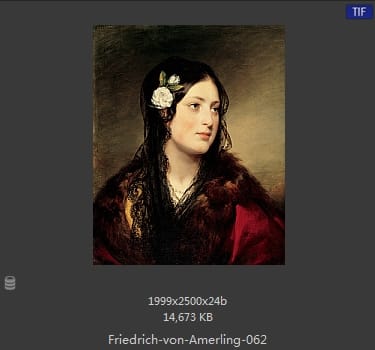 【奥地利】弗里德里希·冯·阿莫林（Friedrich von Amerling）