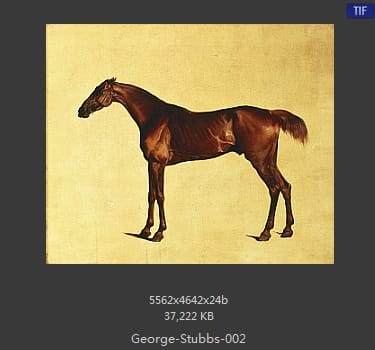 乔治·斯塔布斯（George Stubbs）