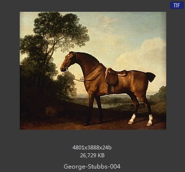乔治·斯塔布斯（George Stubbs）