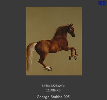 乔治·斯塔布斯（George Stubbs）