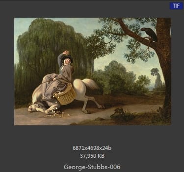 乔治·斯塔布斯（George Stubbs）