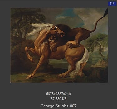 乔治·斯塔布斯（George Stubbs）