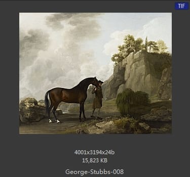 乔治·斯塔布斯（George Stubbs）
