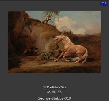 乔治·斯塔布斯（George Stubbs）