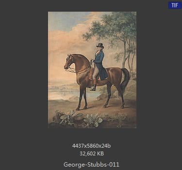 乔治·斯塔布斯（George Stubbs）