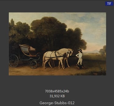 乔治·斯塔布斯（George Stubbs）