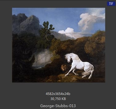 乔治·斯塔布斯（George Stubbs）