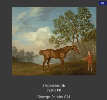 乔治·斯塔布斯（George Stubbs）