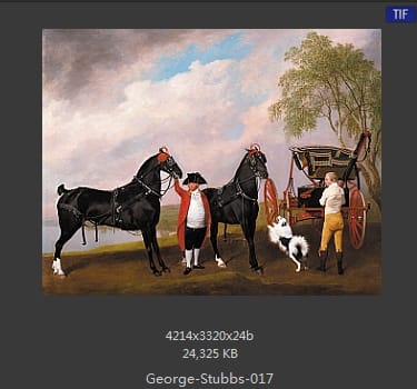 乔治·斯塔布斯（George Stubbs）
