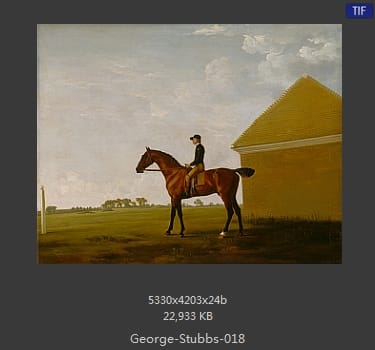 乔治·斯塔布斯（George Stubbs）