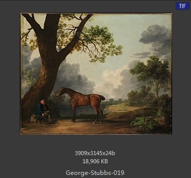 乔治·斯塔布斯（George Stubbs）
