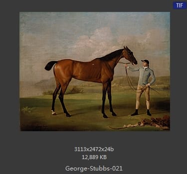 乔治·斯塔布斯（George Stubbs）
