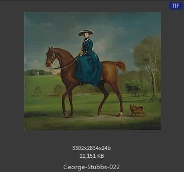 乔治·斯塔布斯（George Stubbs）