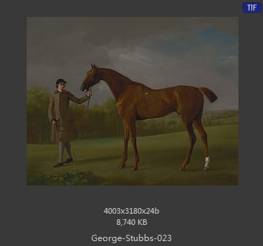 乔治·斯塔布斯（George Stubbs）