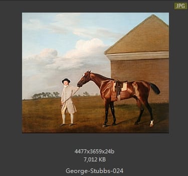乔治·斯塔布斯（George Stubbs）
