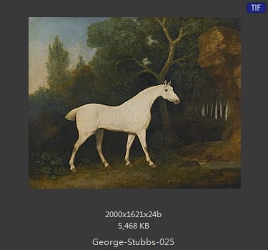 乔治·斯塔布斯（George Stubbs）