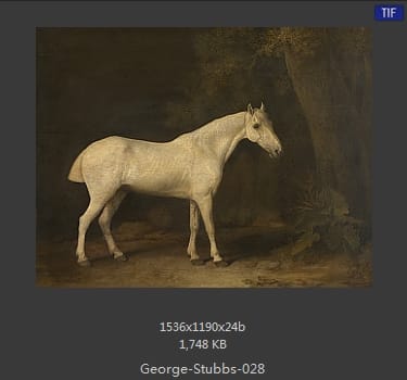 乔治·斯塔布斯（George Stubbs）
