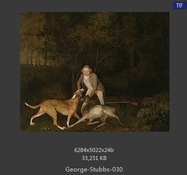 乔治·斯塔布斯（George Stubbs）