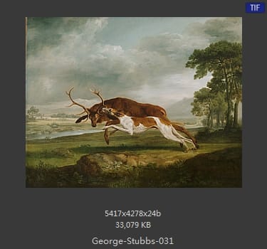 乔治·斯塔布斯（George Stubbs）
