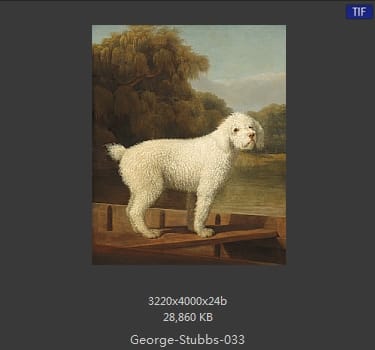 乔治·斯塔布斯（George Stubbs）