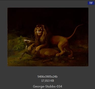 乔治·斯塔布斯（George Stubbs）