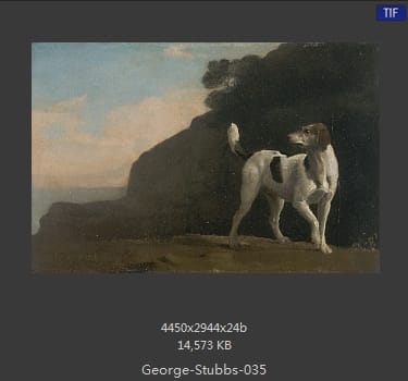 乔治·斯塔布斯（George Stubbs）