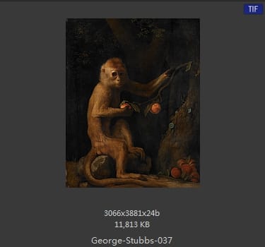 乔治·斯塔布斯（George Stubbs）