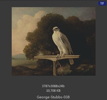 乔治·斯塔布斯（George Stubbs）