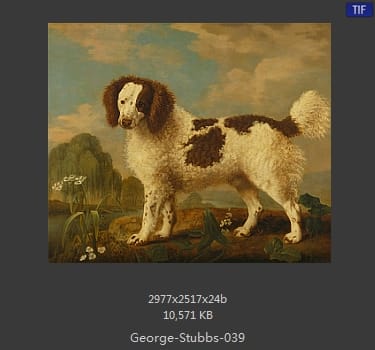 乔治·斯塔布斯（George Stubbs）