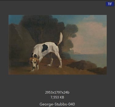 乔治·斯塔布斯（George Stubbs）
