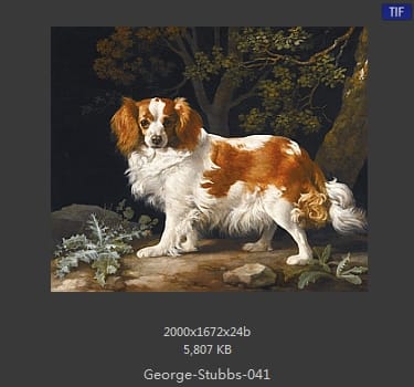 乔治·斯塔布斯（George Stubbs）