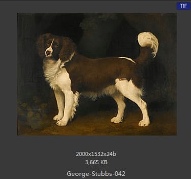 乔治·斯塔布斯（George Stubbs）