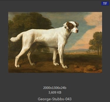 乔治·斯塔布斯（George Stubbs）
