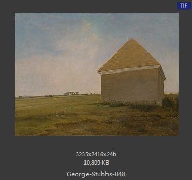 乔治·斯塔布斯（George Stubbs）