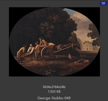 乔治·斯塔布斯（George Stubbs）