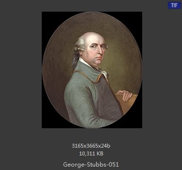 乔治·斯塔布斯（George Stubbs）