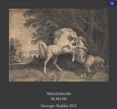 乔治·斯塔布斯（George Stubbs）