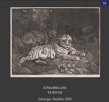 乔治·斯塔布斯（George Stubbs）