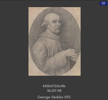 乔治·斯塔布斯（George Stubbs）