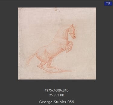 乔治·斯塔布斯（George Stubbs）