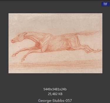 乔治·斯塔布斯（George Stubbs）
