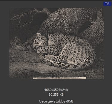 乔治·斯塔布斯（George Stubbs）